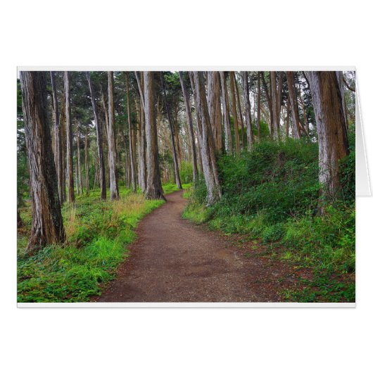 Presidio, SF Cards (Front Horizontal)