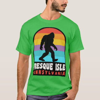 Presque Isle Erie Pennsylvania Retro Sunset T-Shirt