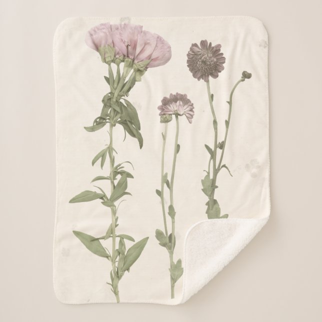 Pressed Blooms - Pink Sherpa Blanket (Front)