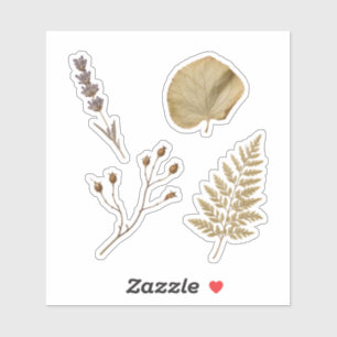 Pressed Botanical Specimen Nature Collection Sticker