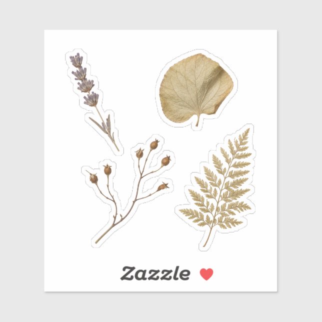 Pressed Botanical Specimen Nature Collection Sticker (Sheet)