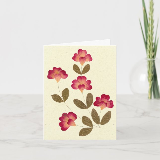 Pressed Bright Pink Tube Flowers Card (Front)