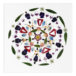 Pressed flower Mandala Acrylic Prints Print