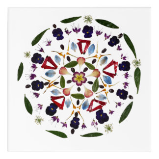 Pressed flower Mandala Acrylic Prints Print