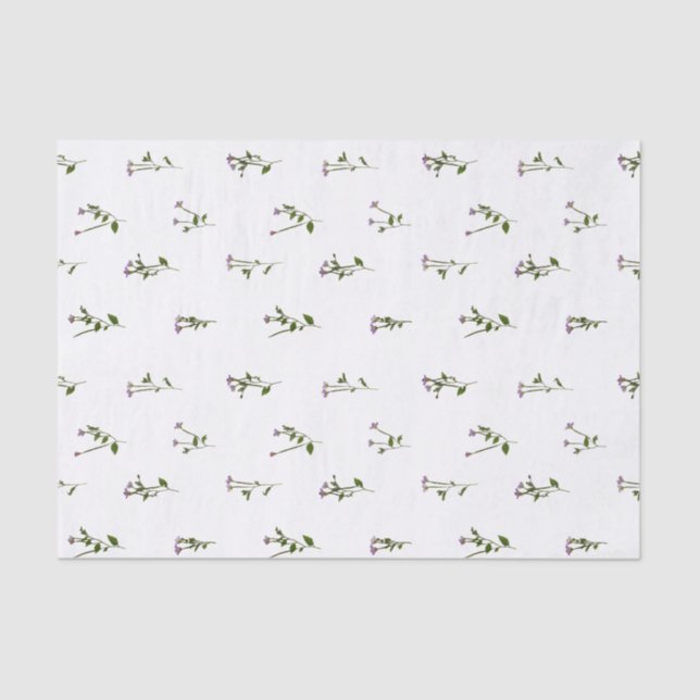 PRESSED FLOWERS - Chickweed Willowherb - Open Tissue Paper (Front)