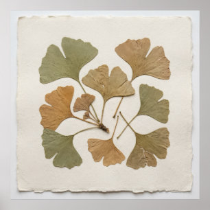 Pressed Ginkgo Biloba Autumn Leaf Botanical Herbar Poster