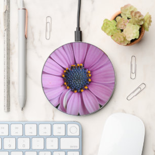Pretty African Daisy Flower Charger