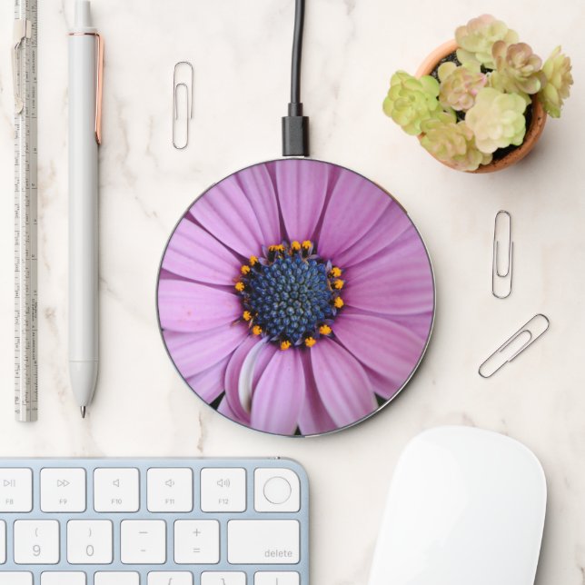 Pretty African Daisy Flower Charger (Desk)