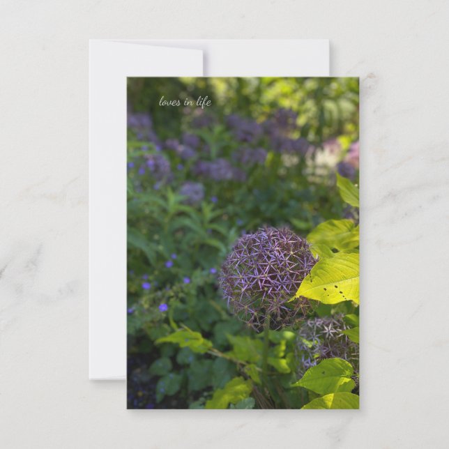 Pretty Allium Note Card (Front)