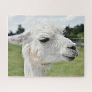 Pretty Alpaca Llama Photography Jigsaw Puzzle