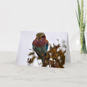 Pretty and Proud Card