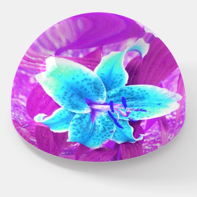 Pretty Aqua Blue Stargazer Lily on Purple Paperweight (Angled)