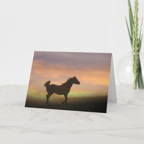 Pretty Arabian Horse Thank You card