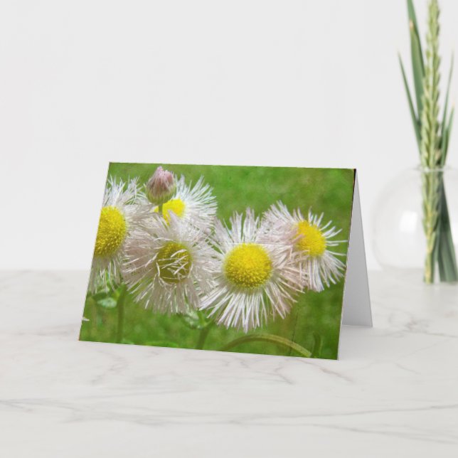 Pretty as a Daisy Card (Front)