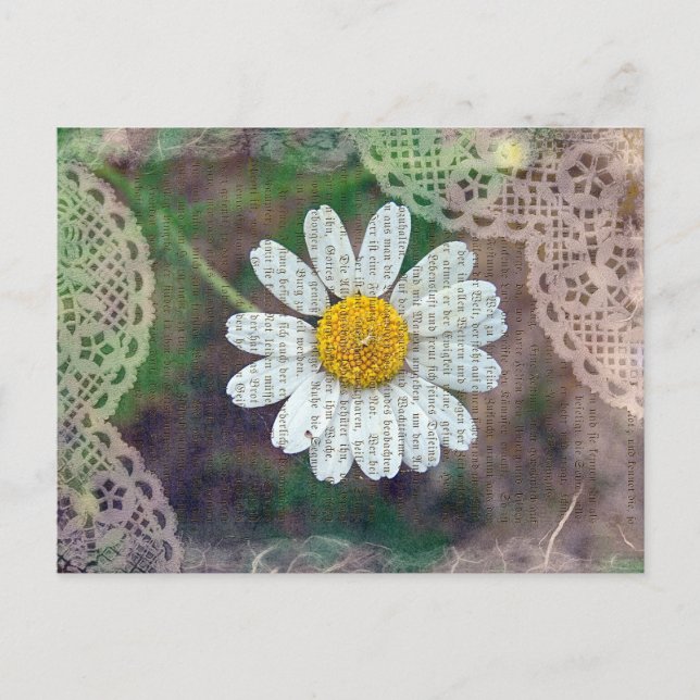Pretty As A Daisy Postcard (Front)