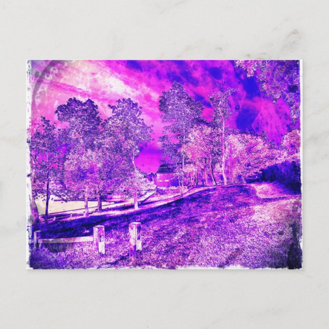 Pretty As A Purple Picture. Postcard (Front)