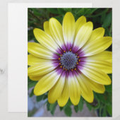 Pretty as Sunshine (Front/Back)