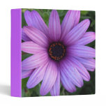 Pretty Aster Flower Binder