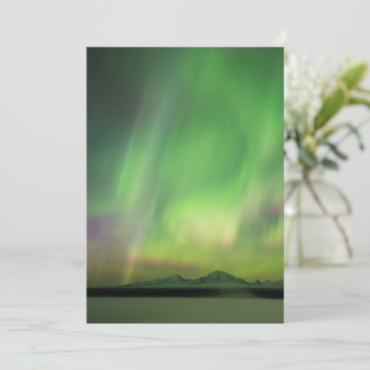 Pretty Aurora (Standing Front)