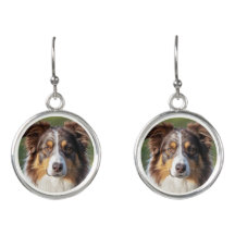 Pretty Australian Shepherd Drop