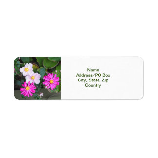 Pretty Autumn Fall Flowers Pink Anemones  Label