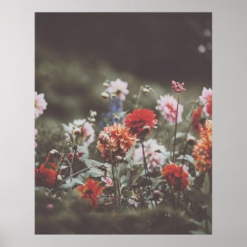 Pretty Autumn Flowers Photography Poster by Maple_Lake at Zazzle
