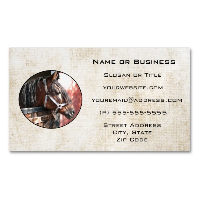 Pretty Bay Horse in a Sunlit Stable Business Card Magnet (Front)