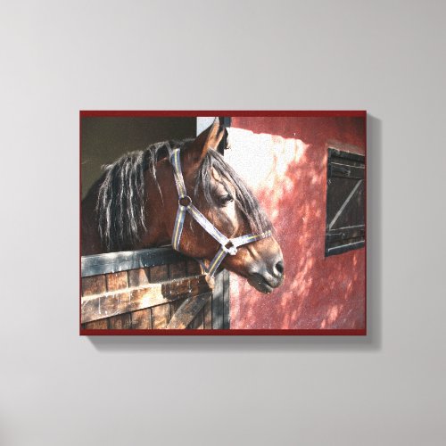 Pretty Bay Horse in a Sunlit Stable Canvas Print