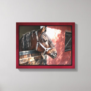 Pretty Bay Horse in a Sunlit Stable Canvas Print