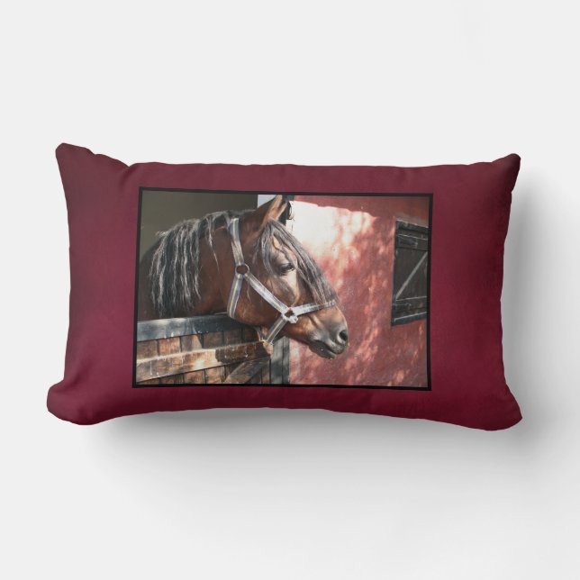 Pretty Bay Horse in a Sunlit Stable Lumbar Pillow (Front)