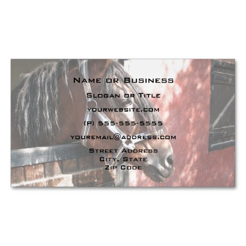 Pretty Bay Horse in a Sunlit Stable Magnetic Business Card