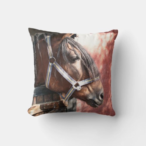 Pretty Bay Horse in a Sunlit Stable Throw Pillow