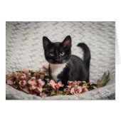 Pretty Bella Rose (Front Horizontal)