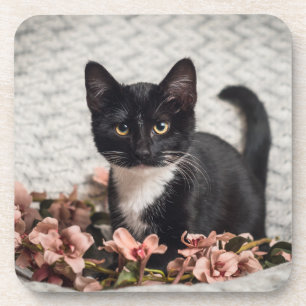 Pretty Bella Rose Beverage Coaster