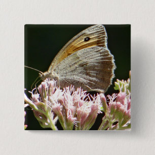 Pretty big butterfly  button