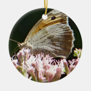 Pretty big butterfly ceramic ornament
