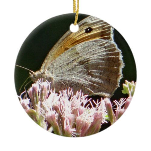 Pretty big butterfly  ceramic ornament