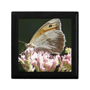 Pretty big butterfly gift box