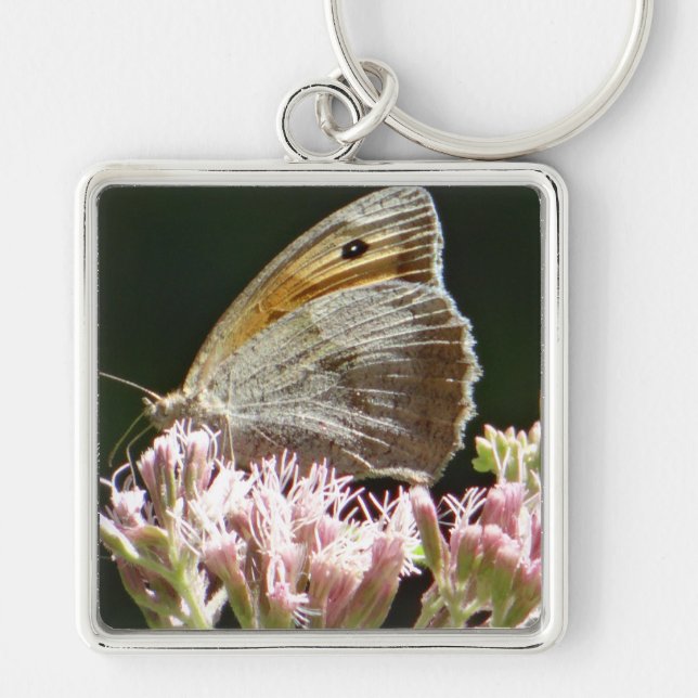 Pretty big butterfly  keychain (Front)