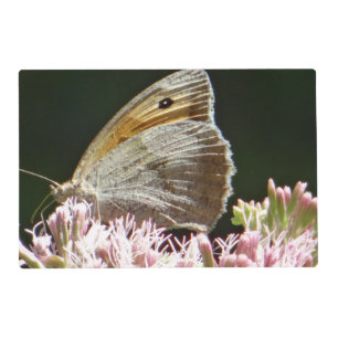 Pretty big butterfly  placemat