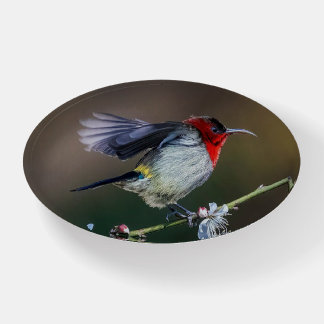 Pretty Bird Arrangement Paperweight