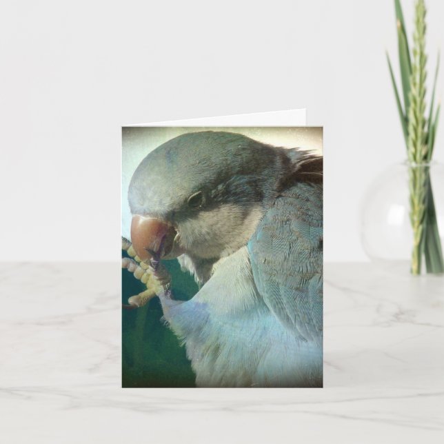 Pretty Bird, Birthday Card (Front)