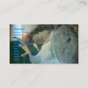 Pretty Bird Business Card