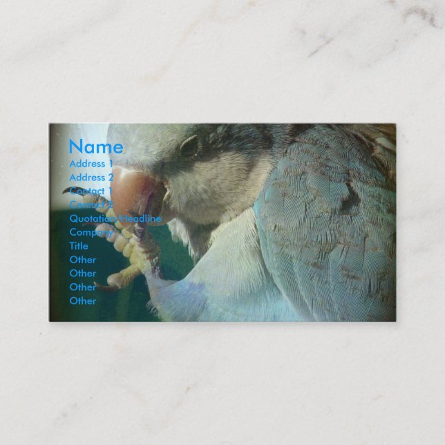 Pretty Bird Business Card (Front)