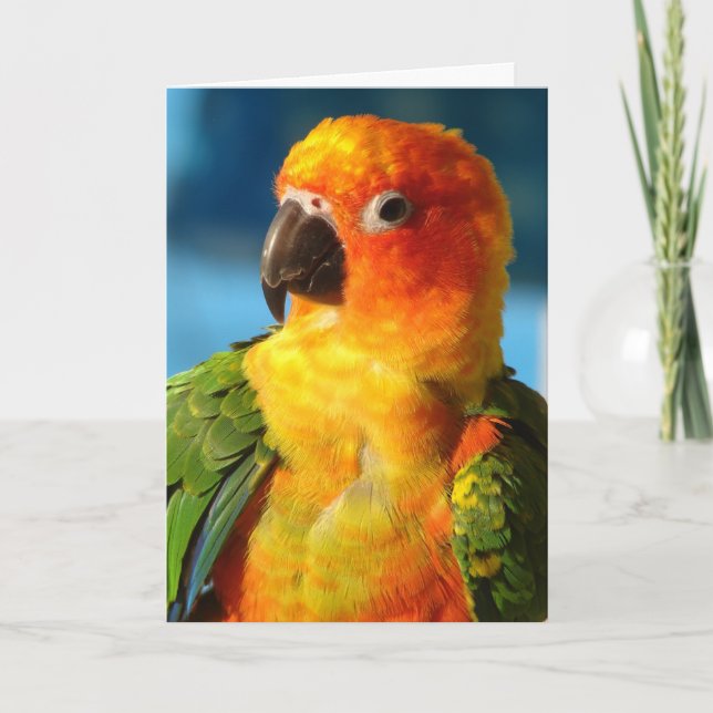 Pretty Bird Card (Front)