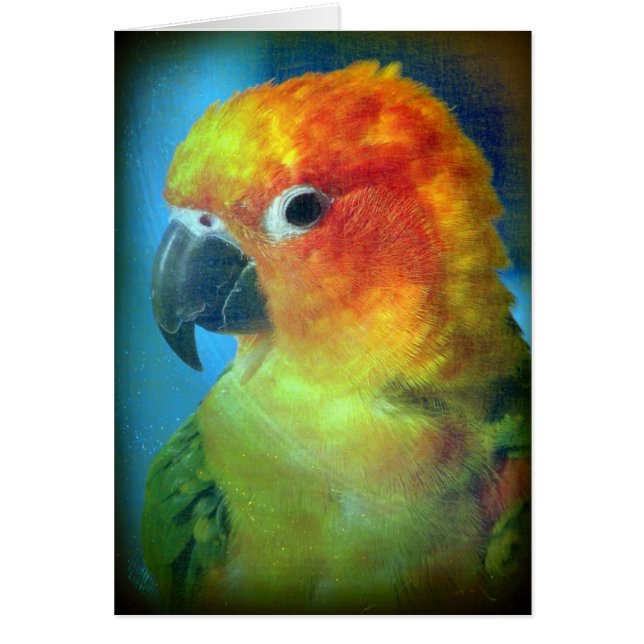 Pretty Bird Cards (Front)