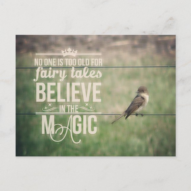 Pretty Bird on a Wire Believe in the Magic Postcard (Front)