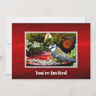 Pretty Bird Red Feeder Pine Photo Birthday Invitation