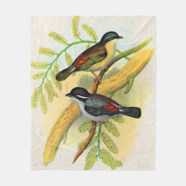  pretty birds print fleece blanket (Front)