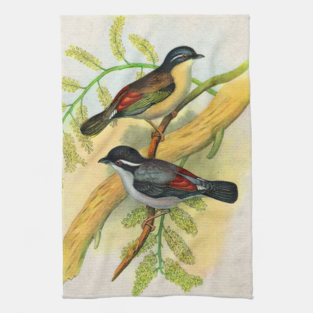 pretty birds print kitchen towel (Vertical)